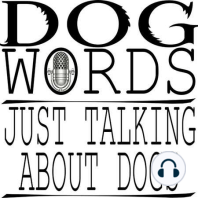 0101: The History & Future of Bar K Dog Bar with Dave Hensley