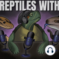 CrocFest, Gatorland & ReptiCon RECAP | Reptiles With Imperial, Chuck&Tino S03EP04 (REPTILE PODCAST)