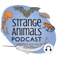 Episode 116: Amazing Hoofed Animals