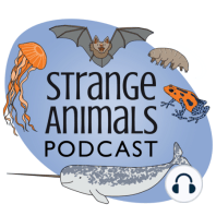 Episode 121: Cave Dwelling Animals