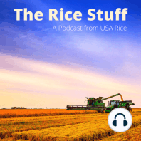 #8 U.S. Rice in Africa, Europe, the Middle East, Turkey, and the UK