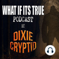 Best of Dixie Cryptid Vol-Two