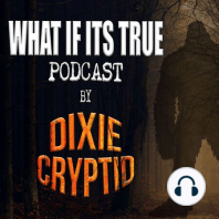 Strange Stories from Dixie Cryptid