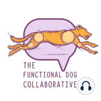 What is ”Functional?” with Sarah Streaming