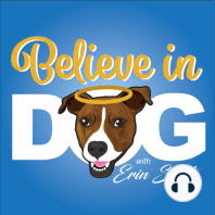 Episode 16. Shannon Glenn, Executive Director of My Pit Bull is Family
