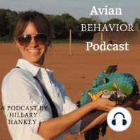 01 - Interview with Avian veterinarian and nutrition expert Scott Echols