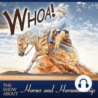 AQHA Horse Show Judging with Patti Carter