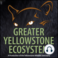 Episode 2: Don’t Feed the Wildlife