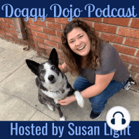 Reactive Dogs with Juliana Willems