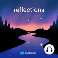 Trailer: Reflections