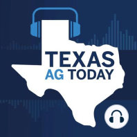 Texas Ag Today - November 3, 2020
