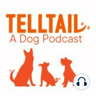 Episode 18: Becoming a Trainer and Loving Your Puppy