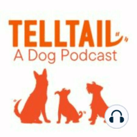 Episode 37: "We'd Love to Have You": Therapy Animal Registration with Katie Kasten of Pet Partners