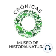 Episodio 1. El legado de Manuel Martínez Solórzano al Museo de Historia Natural.