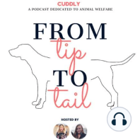 From Tip to Tail: Intro