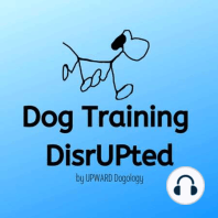 A Platform Exercise Revealed (Wahoo!); An Interview with Kerry Cooke of Spleash Your Leash; Are You Interested in Partaking in Cognitive Studies? Listen UP!; Do You Underestimate Your Dog's Intelligence?
