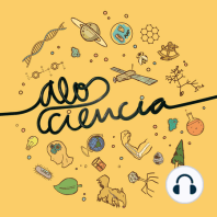 #092 Facilitação: plantas ajudando plantas