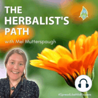 Getting Connected with Herbalist, Liz Neves