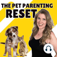 Muscle Testing & Energy Healing For Pets with Pam Roussell of Purrrfectly Holistic
