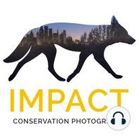 Welcome to Impact: the Conservation Photography Podcast