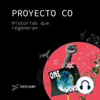 Felipe Symmes de VIVA Idea: Emprendimiento social en Latinoamérica - Poniendo en valor lo local