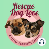 How to bring rescue and shelter dogs out of their shell through play and socialization - with Courtney from Resilient Canine