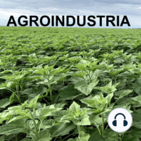 Episodio II : “Toma de decisiones en empresas agropecuarias e industriales”
