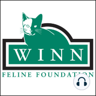 Winn Feline Foundation's 40th Annual Symposium-"Perplexing Paradigms of Feline Medicine, Part Two"