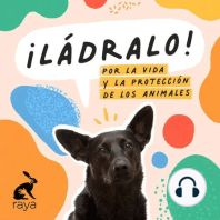 Temporada 6 - Periodismo y animales