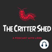 The Critter Shed, live from Cork