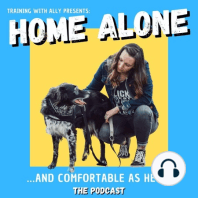 Home Alone: Regressions and Plateaus E 10