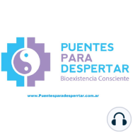 Programa N° 33 de Puentes para Despertar