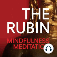 Mindfulness Meditation 8/19/15 with Tracy Cochran