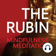 Mindfulness Meditation 4/6/16 with Sharon Salzberg