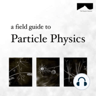 Bonus : Do we really need new particle physics?