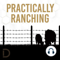 #18 - Ryan Arndt - Ranching Practically