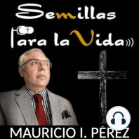 ¿De Dónde Viene la Capacidad de Amar a Dios?