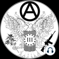 WTD ep.14 NY Patriot. Sean is a guest on NY Patriot's podcast. We discuss mind control & magick, etc