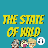 New Meta Report + Mailbag Episode! | The State of Wild Ep 54