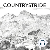 Countrystride #40: Bill Lloyd - Into the woods