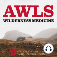 Ultrasound Use in the Wilderness