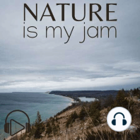 Sounds of Northern Michigan: A Dark and Stormy Night in the the Woods