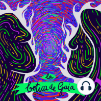 Ayahuasca ? | Conversación con un Curandero ✨ Ep:10