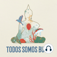 TODOS SOMOS BUDA- EP. 1 - VOLVER A EMPEZAR