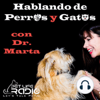 Hablando de Perros y Gatos - Episodio 5 La Peluqueria Glamurosa de los Perros Socialités Niuyorkinos