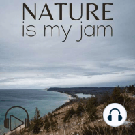 Sounds of Northern Michigan: On the Banks of Twenty-Two Creek