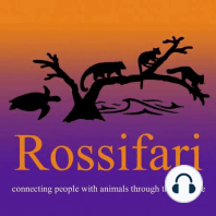 061 - Rossifari After Dark Part 2 - My Favorite Hooman with Dani Poirier, Melissa Peterson, and Kara McSweeney