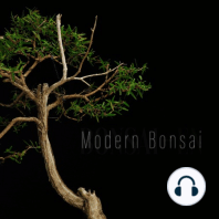 Modern Bonsai Episode 02 "Nursery Stock" Ft. Ashley Brown