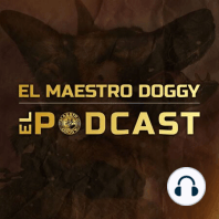 Martes con El Maestro Doggy el Podcast