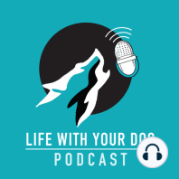 Ep8 - How To Deal With Reactivity In Dogs (And How It Differs From Aggression)